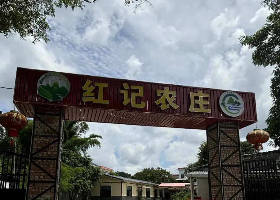 南朗雁归｜掌勺归乡处 烟火振兴路&mdash;&mdash;白企村厨神余敬科的返乡赋能记